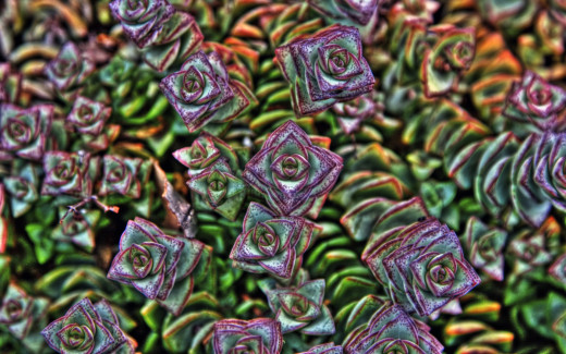 470033 (a): :1920x1200